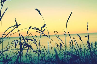 Scenic view of sea at sunset