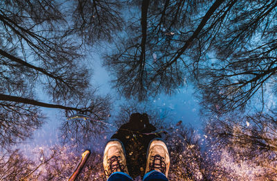 Low section of bare tree in water