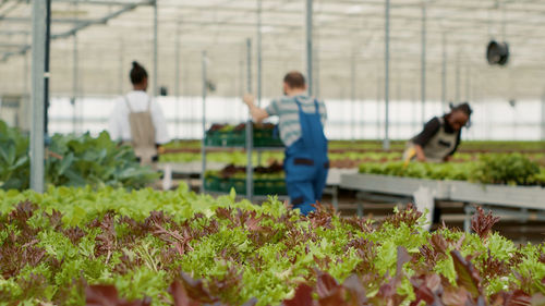 Low section of man working in garden