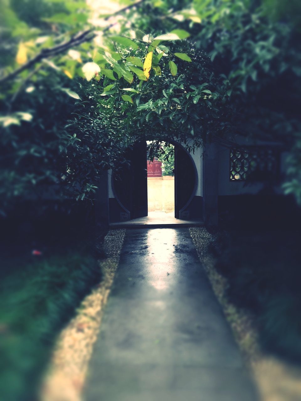 tree, built structure, architecture, the way forward, growth, building exterior, outdoors, day, nature, selective focus, sunlight, park - man made space, no people, plant, footpath, branch, red, tranquility, leaf, walkway