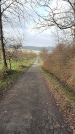 Road amidst bare trees against sky