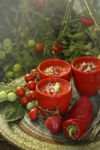 Close-up of cherries in bowl