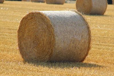 Hay bales on field