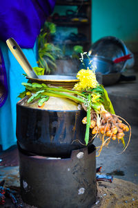 Close-up of housefly on a temple