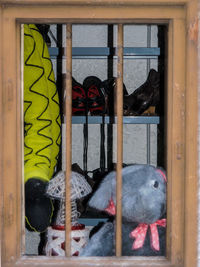 Close-up of bird in cage