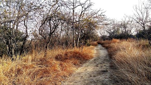 View of road