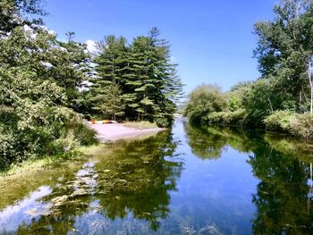 Reflection of trees in lake against sky