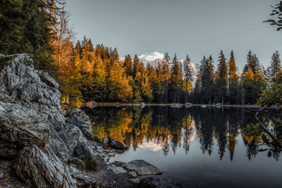 Reflection of trees in lake during autumn