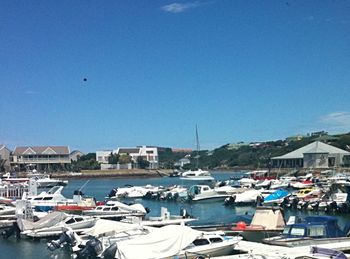 Boats in harbor