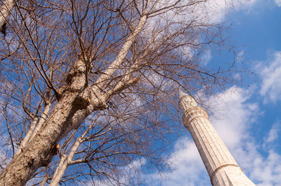 Low angle view of bare tree against blue sky