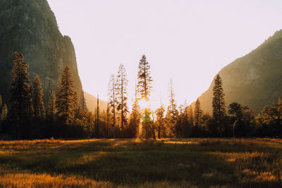 Scenic view of landscape against clear sky