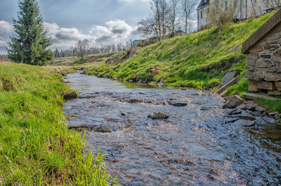 Footpath with trees in background