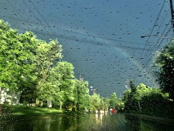 Trees seen through wet glass window during rainy season