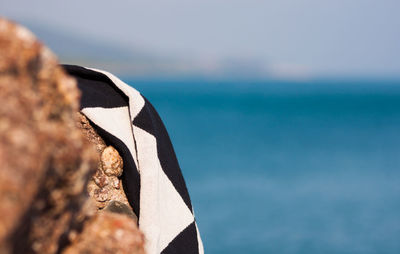 Close-up of rock in sea against sky