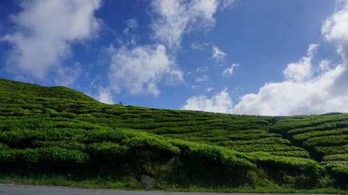 Scenic view of landscape against cloudy sky