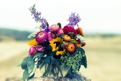 Close up of colorful bouquet of flowers against sky