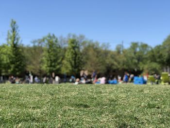 Group of people on field against trees
