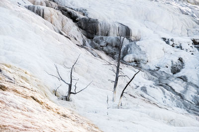 Scenic view of frozen landscape