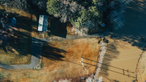 High angle view of trees by building