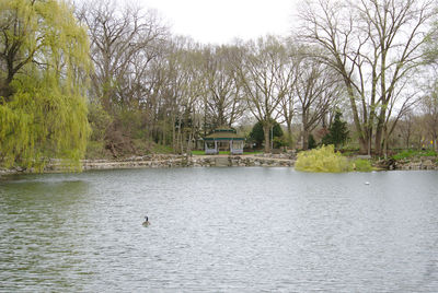 View of lake against plants