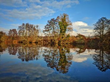 Reflection of trees in lake against sky