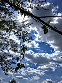 Low angle view of cherry blossom against sky