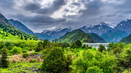mountain