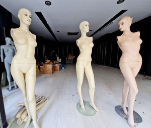 View of mannequins in store