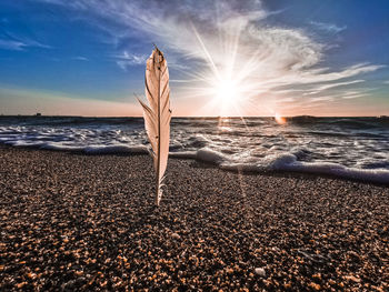 Scenic view of beach against sky during sunset