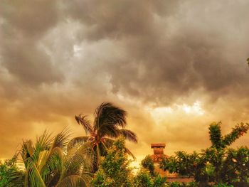 Low angle view of palm trees against storm clouds