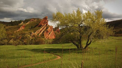 Scenic view of grassy field against cloudy sky