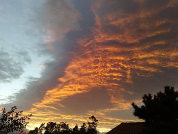 Silhouette trees against dramatic sky during sunset