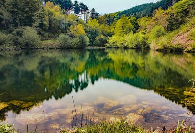 Little lake in the wild nature. 