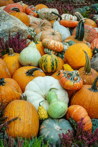 Full frame shot of pumpkins in market