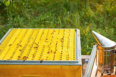 High angle view of plants on field