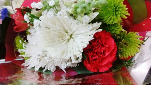 Close-up of red flowers