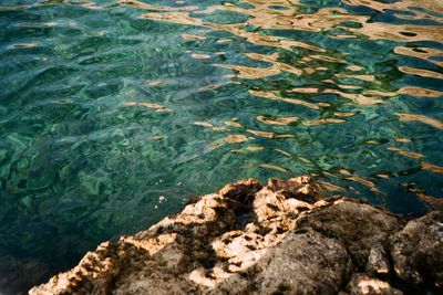 High angle view of rock by sea