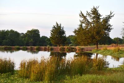 Scenic view of lake against sky