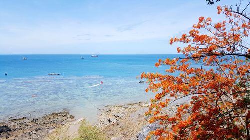 Scenic view of sea against blue sky