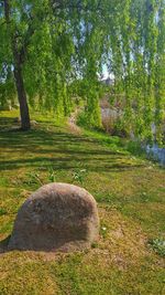 View of hay bales on field