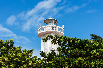 Low angle view of palm trees against blue sky