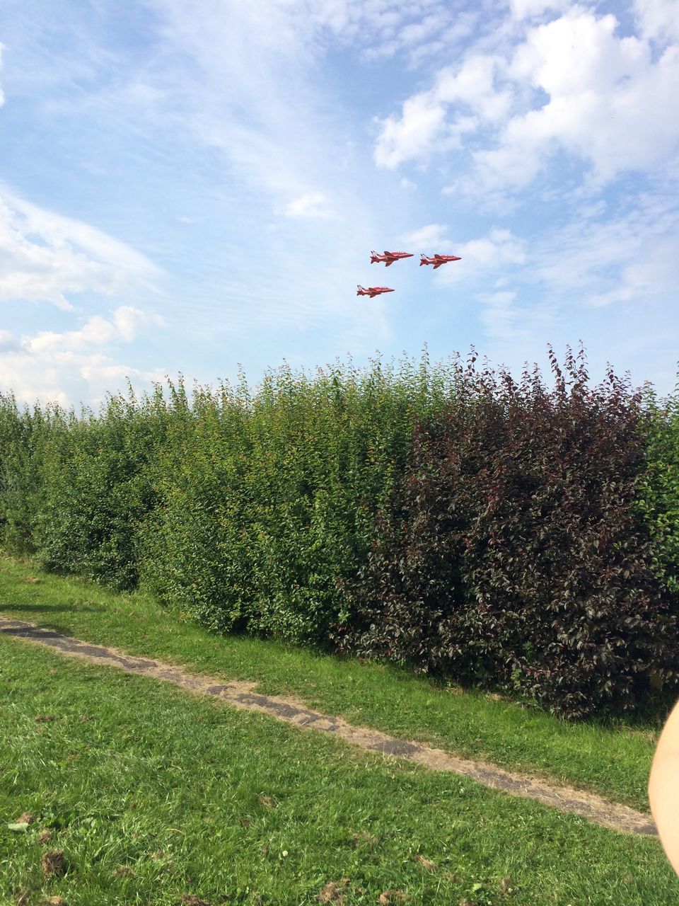 plant, tree, flying, sky, cloud - sky, transportation, grass, nature, air vehicle, day, land, field, growth, mode of transportation, airplane, no people, environment, landscape, beauty in nature, outdoors, aerospace industry