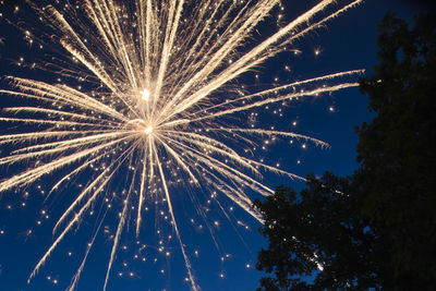 Low angle view of fireworks against sky at night