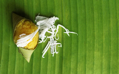 Close-up of fruits on leaf