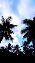 Low angle view of silhouette trees against sky