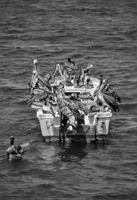 People swimming in sea