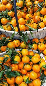 Full frame shot of orange fruits for sale at market stall