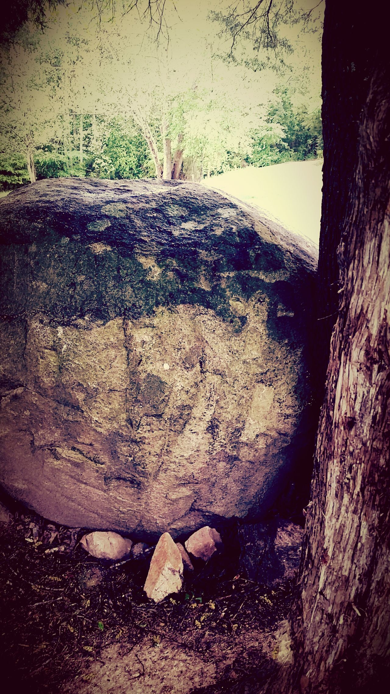 Albright Scout Reservation