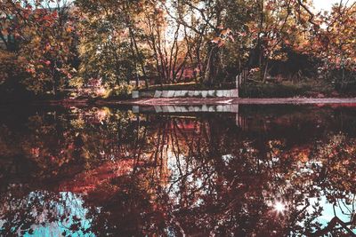 Reflection of trees in lake against sky