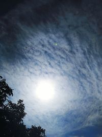 Low angle view of trees against sky